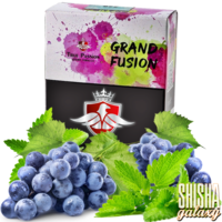 Grand Fusion (20g) - Shisha Tabak
