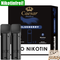 Blueberry - Liquid Pod - Nikotinfrei - 2er Pack