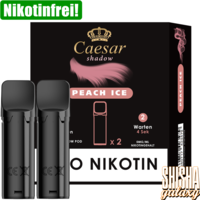 Peach Ice - Liquid Pod - Nikotinfrei - 2er Pack