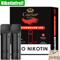 Watermelon Ice - Liquid Pod - Nikotinfrei - 2er Pack