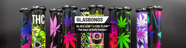 Fire Flow B1 Fire Flow™ x Black Leaf® - Cylinder Bong - Leaves 37/2 - (No. 3) - 400 mm x 51 mm - NS 14/19 - Glasbong Fire Flow B1 Fire Flow™ x Black Leaf® - Cylinder Bong - Leaves 37/2 - (No. 3) - 400 mm x 51 mm - NS 14/19 - Glasbong