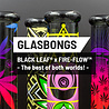 Fire Flow B1 Fire Flow™ x Black Leaf® - Cylinder Bong - Ufo Gardient - No. 1 - 400 mm x 51 mm - NS 14/19 - Glasbong Fire Flow B1 Fire Flow™ x Black Leaf® - Cylinder Bong - Ufo Gardient - No. 1 - 400 mm x 51 mm - NS 14/19 - Glasbong