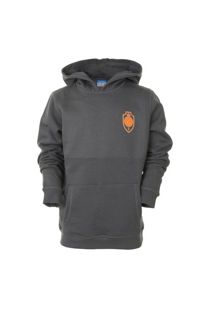 Hoodie 'Team 1880' antraciet