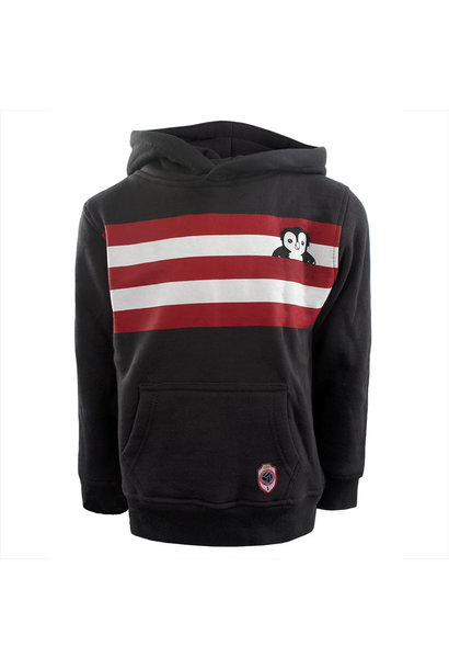RAFC Hooded Sweater Stripes Owl Kids - Charcoal