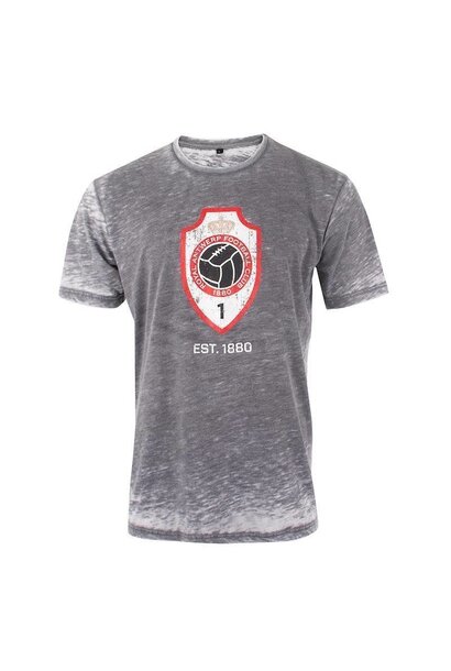 RAFC T-shirt 'Vintage Logo' Kids - Grijs