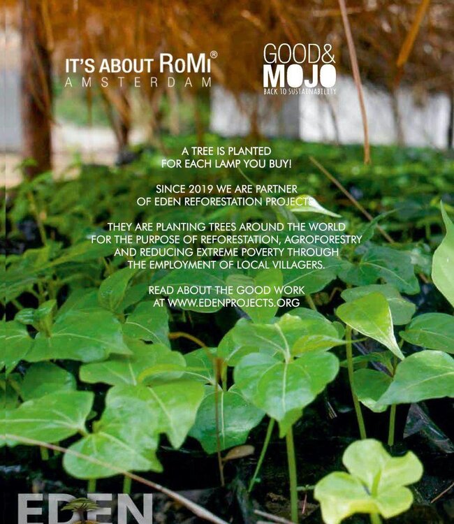 Bamboe Wandlamp Kalimantan - Good&Mojo - H 70 x B 112 x Ø 60 cm