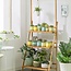 Elegante Bamboe Plantenrek