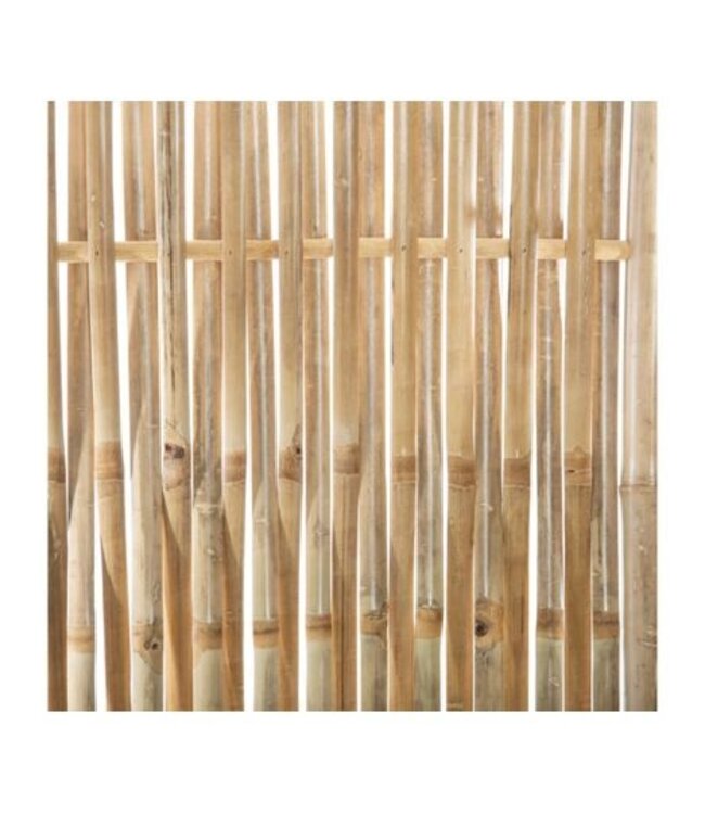 Bamboe Kamerscherm - 2 Stuks - 6 Panelen totaal - 170 cm hoog - 5Five