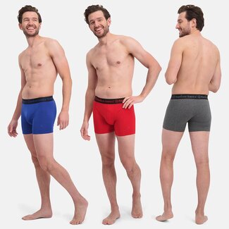 Bamboo Basics Boxer shorts Rico - Set of 3 pieces - Grey bleu Red