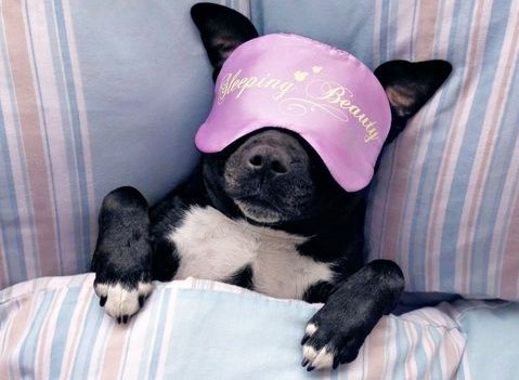 Ontdek de Gezondheidsvoordelen van de Juiste Slaaphouding