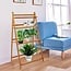 Ecarla Plant rack with 4 levels - Storage rack - Collapsible - Plant ladder