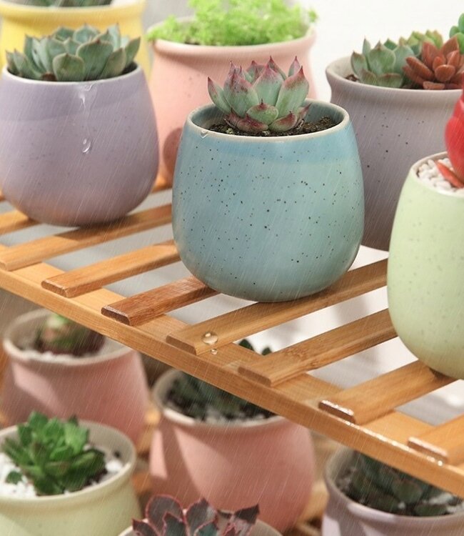 Plant rack with 4 tiers easily foldable - Brown - Flower rack - Bamboo