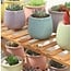 Ecarla Plant rack with 4 levels - Storage rack - Collapsible - Plant ladder