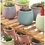 Plantenrek met 4 etages  - Opbergrek - Inklapbaar - Plantenladder