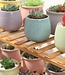 Plant rack with 4 tiers easily foldable - Brown - Flower rack - Bamboo