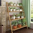 Plant rack with 4 tiers easily foldable - Brown - Flower rack - Bamboo