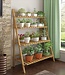 Ecarla Plantenrek met 4 etages  - Opbergrek - Inklapbaar - Plantenladder