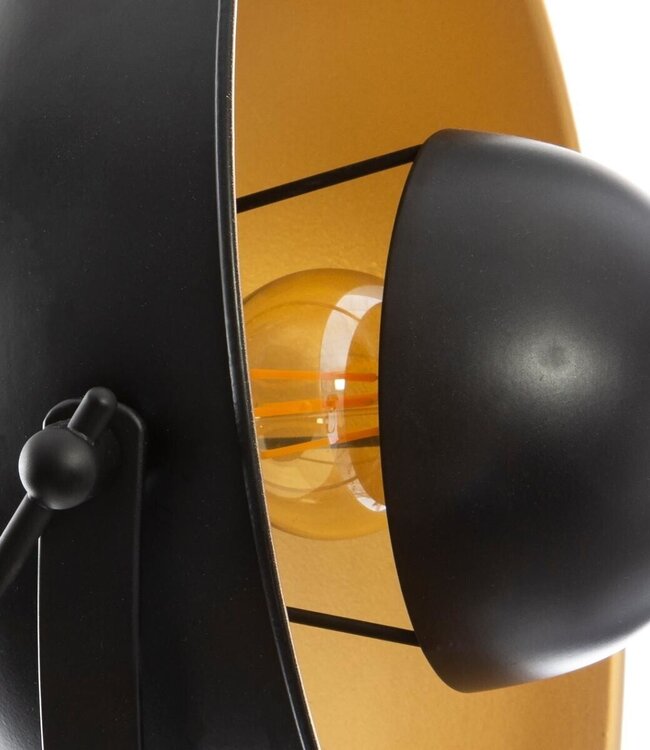 Lamp met Statief - Vloerlamp - H162 cm - Zwart