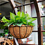 Hanging Planters 2 Pair - Black - Bloom Sling