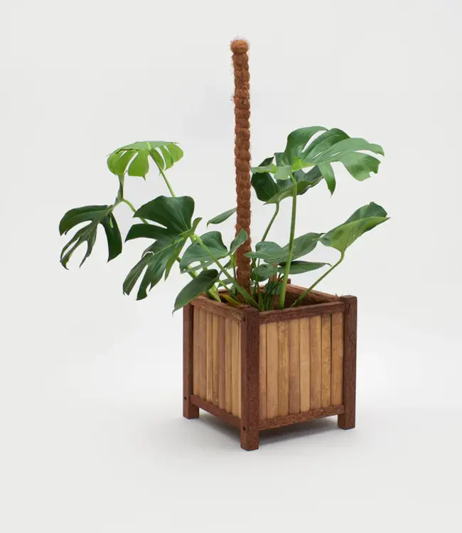 Coconut Fiber Plant Sticks - Support Poles - Brown