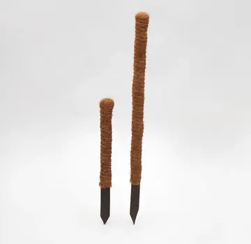 Bamboona Coconut Fiber Plant Sticks - Support Poles - Brown