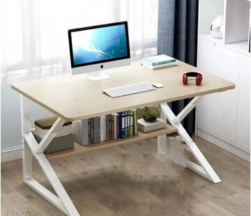 Ecarla Large Computer Desk - Modern - White