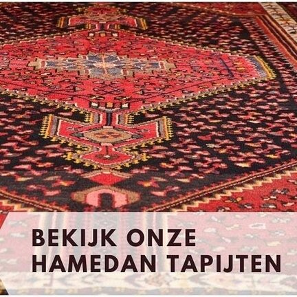 Apportez une beauté intemporelle essentielle à votre espace de vie avec les tapis Hamedan, disponibles chez Koning Bamboe.