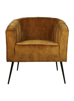 HSM Collection Armchair - Chester - 72x71x80cm - Gold/Black
