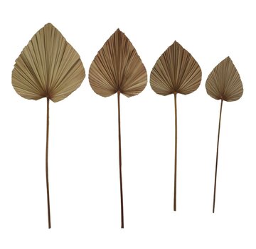 HSM Collection Decorative Palm Leaf - Set of 4 - Natural