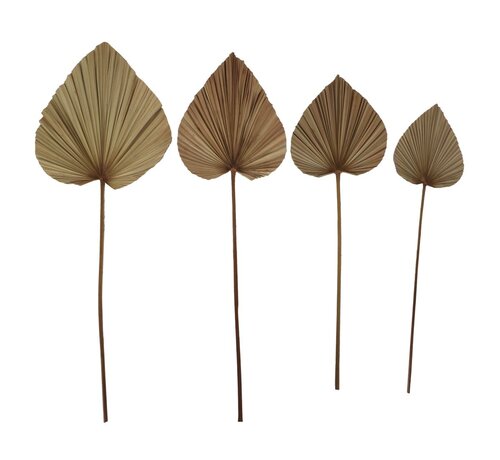 HSM Collection Decorative Palm Leaf - Set of 4 - Natural