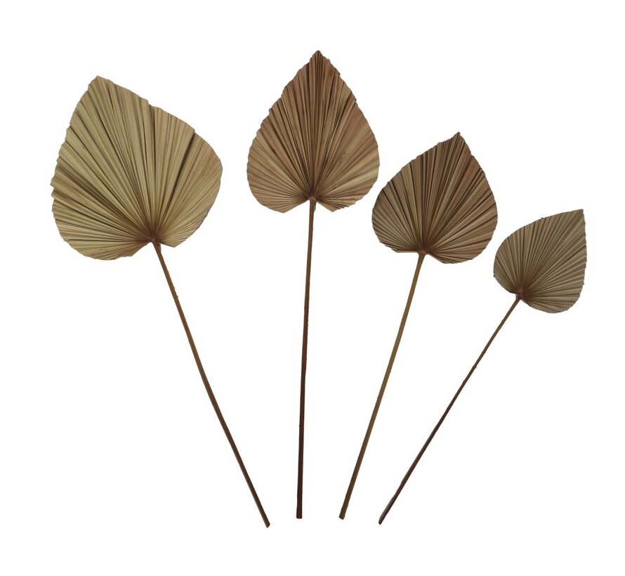 Decoratief Palmblad - Set van 4 - Naturel