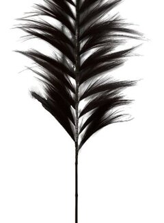 HSM Collection Decorative Feather - 65x2x220 - Black/Natural