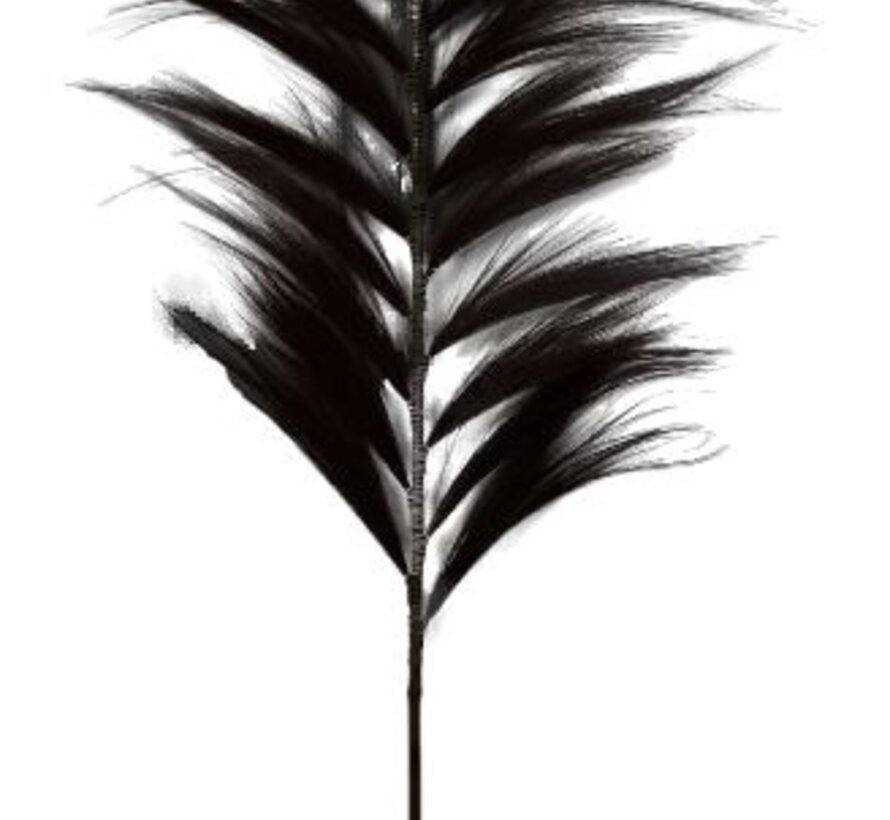 Plume Décorative - 65x2x220 - Noir/Naturel