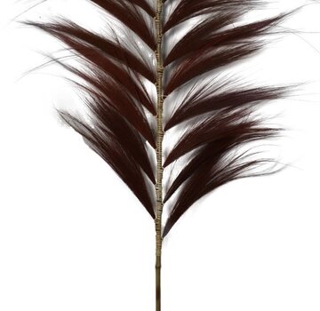 HSM Collection Decorative Feather - 65x2x220cm - Cognac