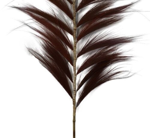 HSM Collection Decorative Feather - 65x2x220cm - Cognac