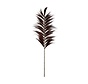 Decorative Feather - 65x2x220cm - Cognac