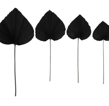 HSM Collection Decorative Palm Leaf - Set of 4 - Black