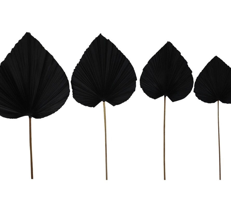 Decorative Palm Leaf - Set of 4 - Black