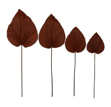 HSM Collection Decorative Palm Leaf - Set of 4 - Cognac