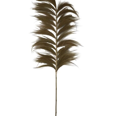 HSM Collection Decorative Feather - 65x2x220cm - Natural/Green