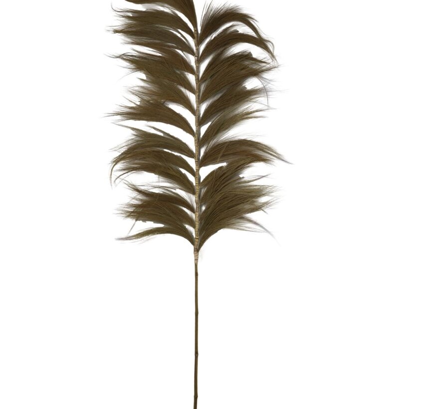Plume Décorative - 65x2x220cm - Naturel/Vert