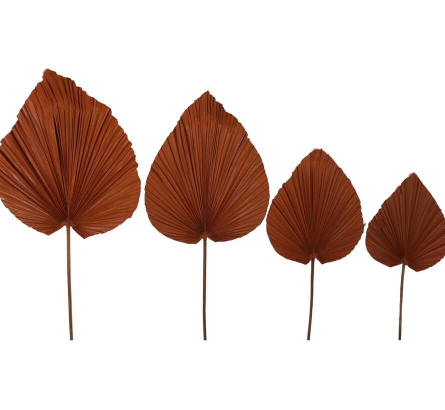 Decorative Palm Leaf - Set of 4 - Cognac