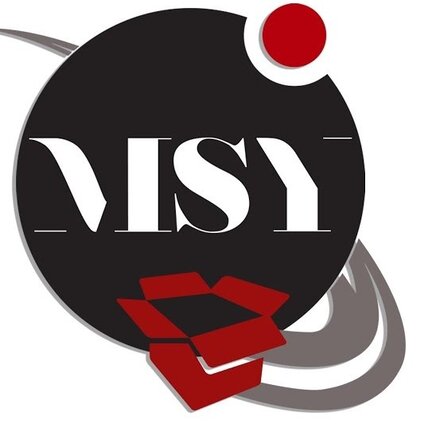 MSY Invest