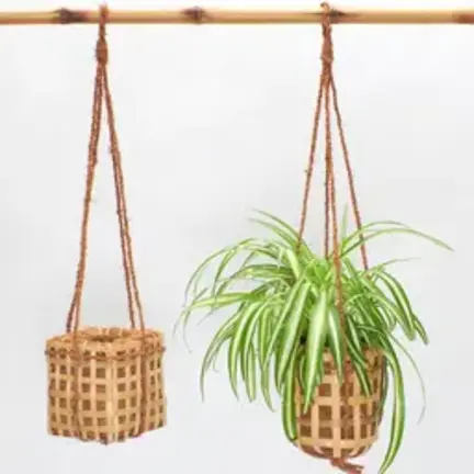 Royal Accents: les accessoires de King Bamboo pour une finition majestueuse