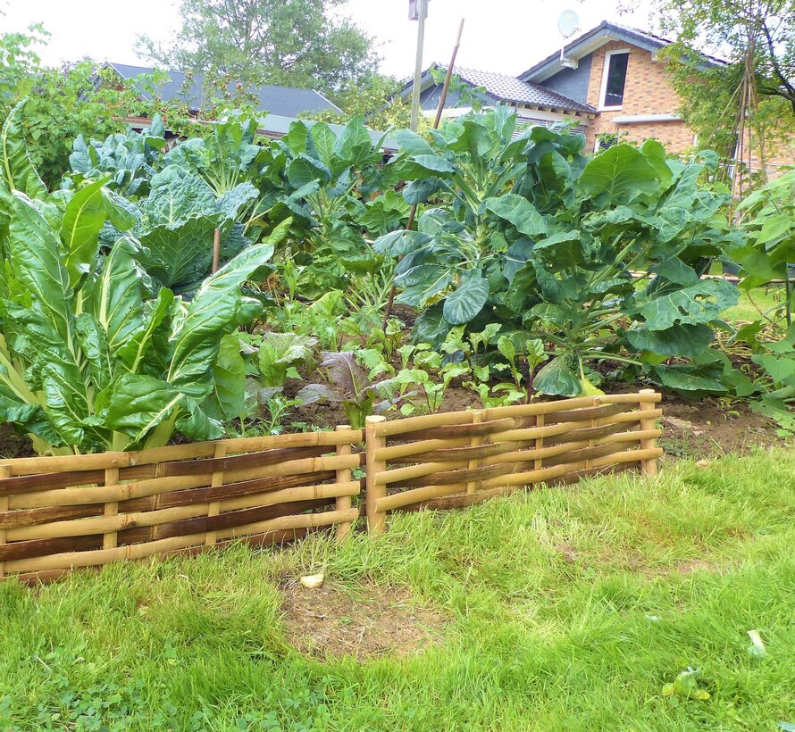 Garden fence - 20x100cm - Woven Bamboo strips
