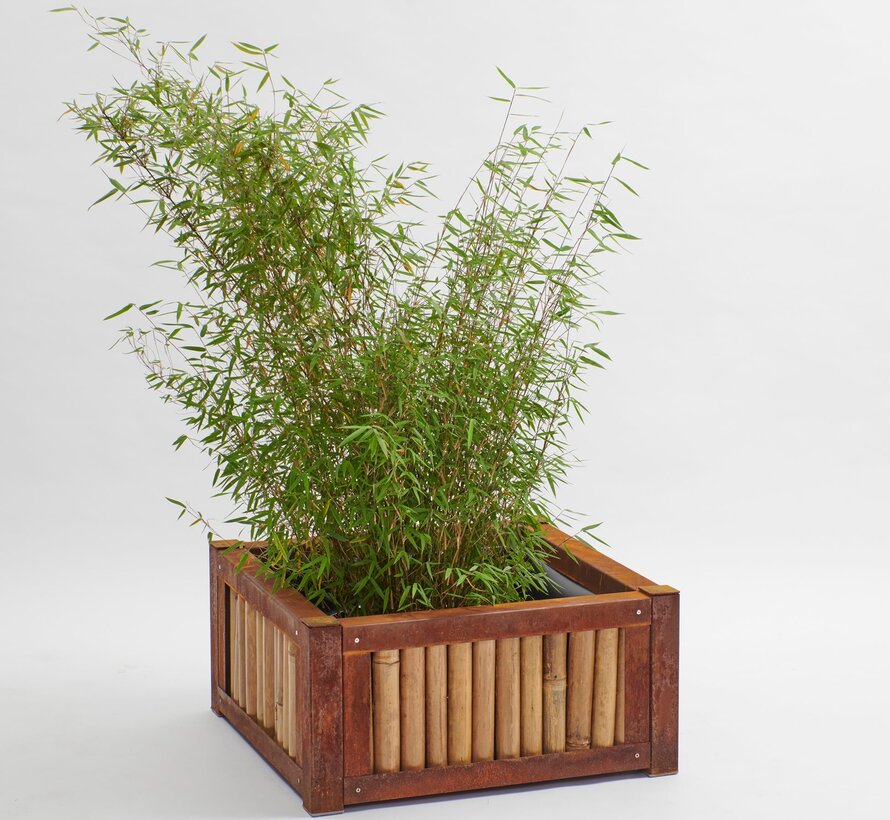 Bamboo Raised Planter - Elio - Light
