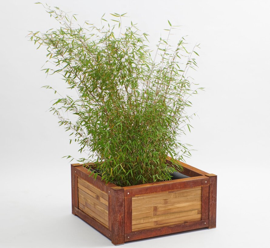 Bamboo Raised Planter with Slatted Base - Nova - Light