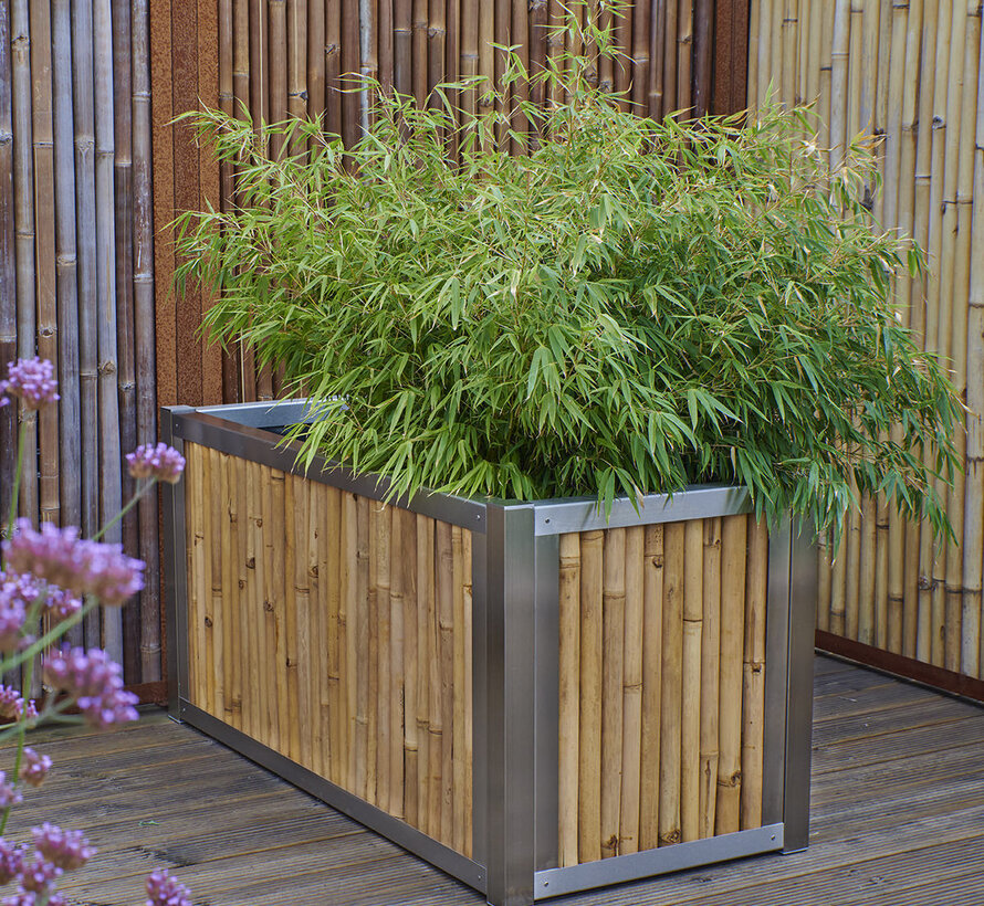 Bamboo Planter with Stainless Steel Frame - Zenith - Light