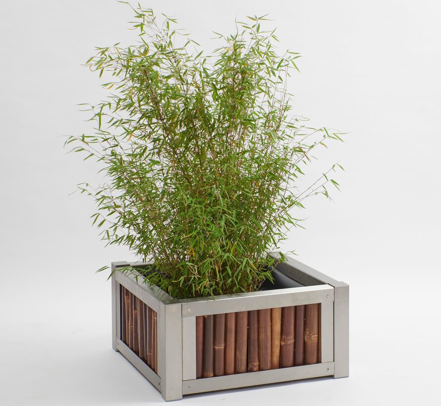 Bamboe Plantenbak met RVS Frame - Umbra - Donker