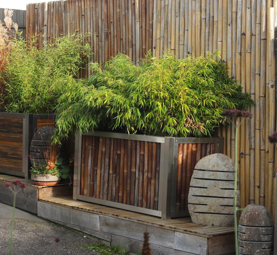 Jardinière en Bambou avec Cadre en Acier Inoxydable - Umbra - Foncé